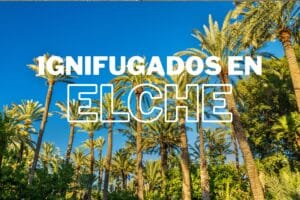 Ignifugados en elche